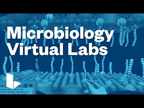 Labster microbiology virtual laboratories