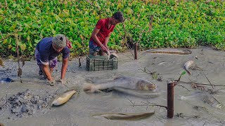 তিন দিন ধরে একটি পুকুর সেচ দিয়ে গ্রামের মানুষ সবাই অভাগ। Very Big Big Fish catching village pond2025