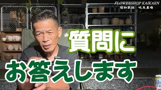 皆様の質問にお答えします　花　観葉植物　お困り相談　直接回答します【おうちでガーデニング】開花園チャンネル