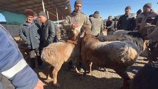 Namangan begavot Qo’y bozori narxlari bilan tanishing 01.25.2025 bozor juda qizg’in