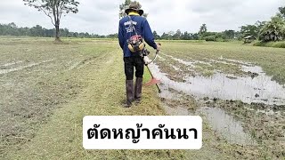 ตัดหญ้าคันนา | ตัดเป็นใน 5 นาที