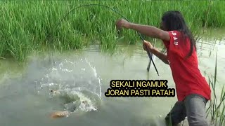 Ediann!! sampai kalang kabut saya di buatnya, tarikan nya sangat kuat