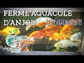 Les partenariats - La Ferme Aquacole d'Anjou - Aquaponia l'aquaponie by Echologia