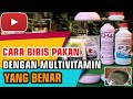 Cara bibis pakan ikan yang benar - dengan multivitamin tambahan