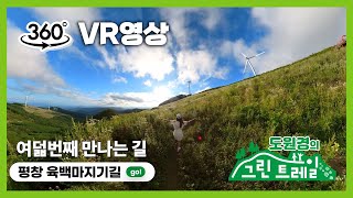 [360° 4K] 도원경과 함께 떠나는 평창 육백마지길 VR 랜선 여행! │도원경의 그린트레일 EP. 8