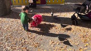 【1歳3ヶ月】男女の双子　公園で、鳩🐦とたわむれる🕊️