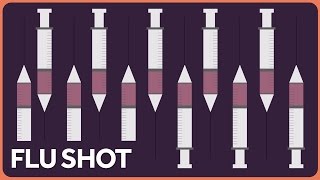 You Should Get A Flu Shot