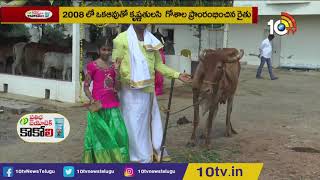 దేశీ ఆవులు పెన్నిధి | Importance of Desi Cow in Agriculture | Matti Manishi | 10TV News10TV News