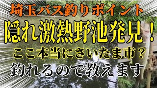 【激熱野池】埼玉バス釣りポイント！隠れ野池紹介します。ここ本当にさいたま市？ラージめっちゃ釣れるやん！