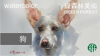 【水彩】狗Dog │ 示範教學