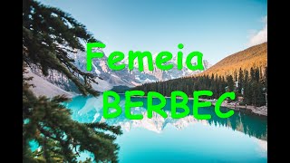 👩♈ Femeia BERBEC in luna iubirii - februarie 💟💞💘