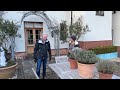 bunny chats to angus thirwell in his garden