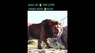 #action #lion the king 🤴 LION simba best movie clip @mention a channel