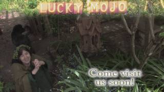 Lucky Mojo Video Tour