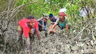 লোকাল জঙ্গলে কাকড়ার গর্ত খুঁড়ে, হাফ ব্যাগ কাঁকড়া পেলাম!!!