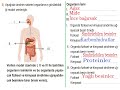 6. sınıf fen 1. dönem 2. yazılı örnek sınav mebörneksınav mebörneksorular yazılıhazırlık fen