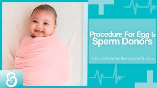 Procedure For Egg & Sperm Donors - California Center for Reproductive Medicine