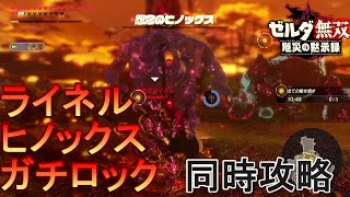 ゼルダ無双厄災の黙示録  真の強者　[ミッション・クエスト]