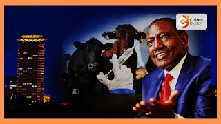 President Ruto says those opposed to livestock vaccination are 'stupid \u0026 possessed by evil spirits'