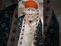 today shirdi sai baba dharsan kre