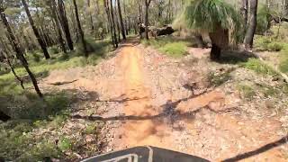 Elixir wellington dam mtb