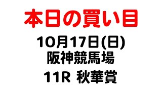 【今日の優注馬】2021年10月17日（日）阪神競馬場 11R 秋華賞 本日の買い目はこれ！！