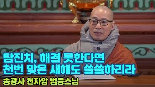 [LIVE] 송광사 음력 12월 초하루법회 (천자암 법웅스님)