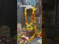 mahakal harharmahadev gopeshwar vrindavan shortsvideo trending viralvideo foryou mahadev