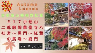 【風景と自然】京都嵐山嵯峨野紅葉 ＃１7 二尊院 八社宮～黒門～勅使門～紅葉の馬場～総門 2024年11月30日　Arashiyama, Sagano Autumn Leaves Series #17