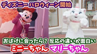 【ディズニーハロウィーン開始】おばけに会ったら？ミニーちゃん マリーちゃんの反応の違いが面白い！ ディズニーランドのグリーティング #130