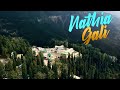 Beauty of Nathia Gali - 5 Reason Why Galyat is So Famous Among Tourists