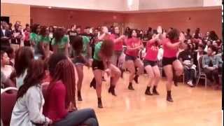 UNC Meet the Greeks 2014 - LPC and AKA