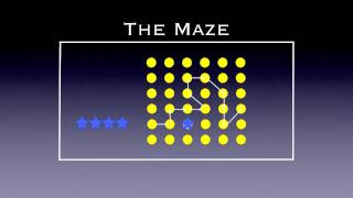 Physed Games - The Maze