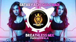 Sataryachi Gulchadi Breathless mix instagram trending songs pashanwala unreleased track