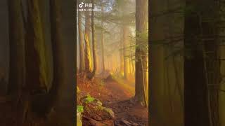 Chinese Tik Tok beautiful scenery 中国抖音绝美风景  #chinese Tik Tok #beautiful #中国抖音 #绝美风景