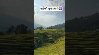 Farming land looks so mesmerizing in Nepal