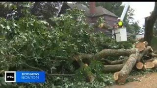 Cleanup continues in Andover after severe storms