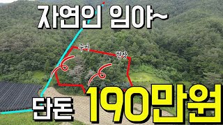 전국최저가 싼땅 몽땅100만원대 ,이런 땅이 또나올까?  자연인 임야매물~ 싸다고 무시하지마라~추천 경북 영양 공매매물 -찾경공-