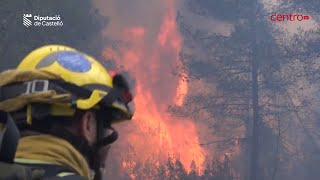 Incêndio em Espanha já consumiu 4 mil hectares de floresta e obrigou à retirada de 1.500 pessoas