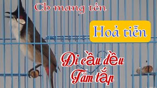 30/12 : CB - HOẢ TIỄN / NẾT CẦU QUÁ HAY GIỌNG NHƯ THÁC ĐỔ - SẼ HÀI LÒNG AE