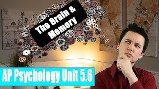 Biological Bases For Memory  [AP Psychology Unit 5 Topic 6] (5.6)