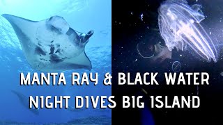 Manta Ray Night Dive and Black Water Night Dive Kona - Big Island - Hawaii - Diving at Night