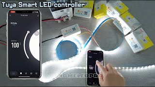 How to use the Tuya WiFi Single Color Controller | Tuya smart Light dimmer controller @TY-01-1CH