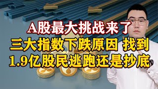 A股最大挑战来了！股市大跌原因找到了，1.9亿股民逃跑还是抄底？