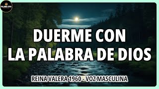 Poderosos Salmos y versículos Bíblicos para Dormir | Biblia Hablada | Reina Valera 1960 | 12 HRS