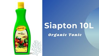 Siapton 10L  (An Organic Tonic )