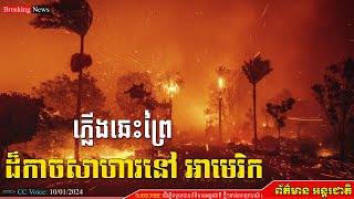 ភ្លើងឆេះព្រៃដ៏កាចសាហាវនៅ អាមេរិក, Los Angeles wildfire