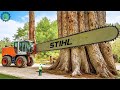 Extreme Dangerous Fastest Big Chainsaw Cutting Tree Machines | Monster Stump Removal Excavator ▶13