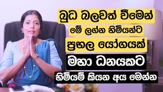 බුධ බලවත් වීමෙන් මේ ලග්න හිමියන්ට ප්‍රභල යෝගයක් | මහා ධනයකට හිමියම් කියන අය මෙන්න