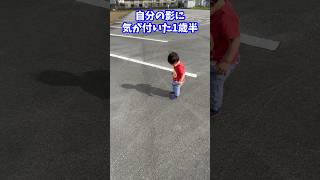 ついに自分の影に気が付いてしまった赤ちゃん#1歳児 #おさんぽ